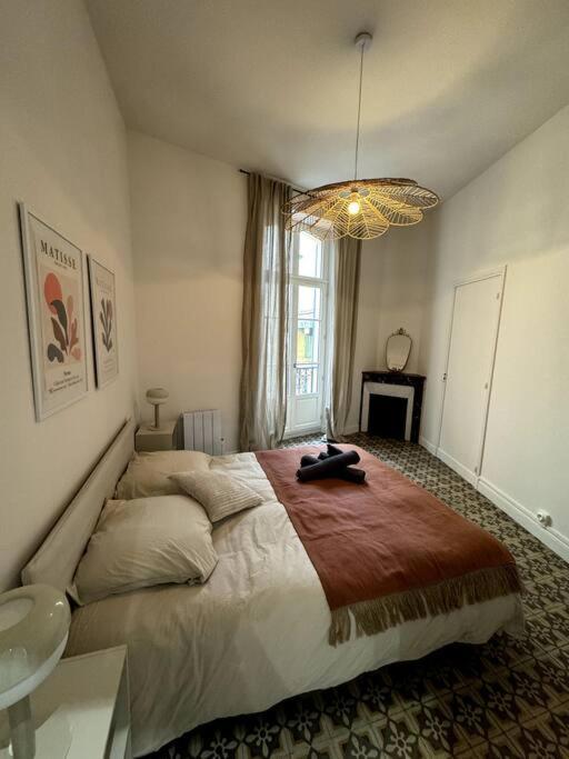 La Real - Apt 2 Chambres Renove Perpignan Dış mekan fotoğraf